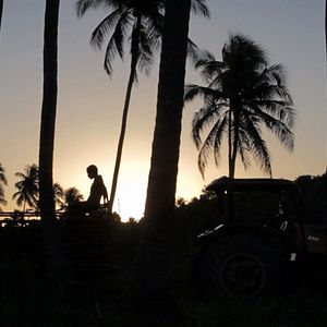 Fotoğraf Ağustos Esintisi