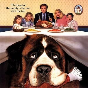 Fotoğraf Afacan Köpek Beethoven