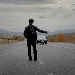 Fotoğraf Asfalt Çiçekleri