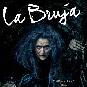 Fotoğraf Sihirli Orman