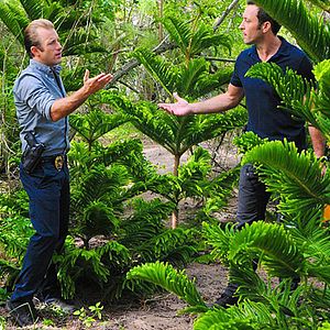 Fotoğraf Alex O'Loughlin