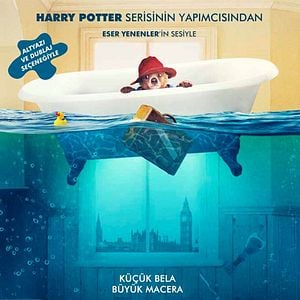 Fotoğraf Ayı Paddington