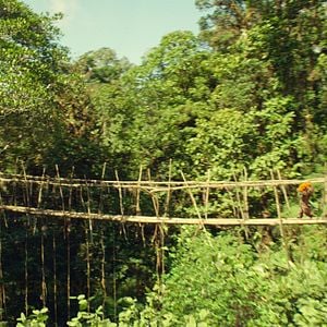 Fotoğraf Ayı Paddington