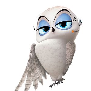 Fotoğraf Madagaskar Penguenleri