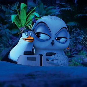 Fotoğraf Madagaskar Penguenleri