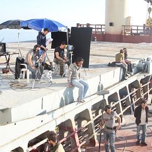 Fotoğraf Sarmaşık