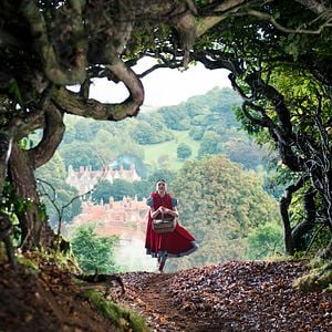 Fotoğraf Sihirli Orman