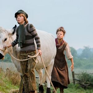 Fotoğraf Sihirli Orman