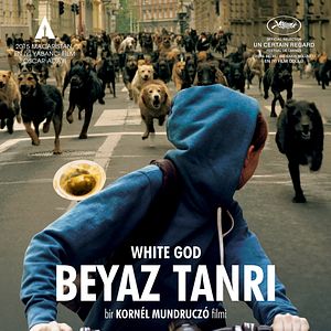 Fotoğraf Beyaz Tanrı