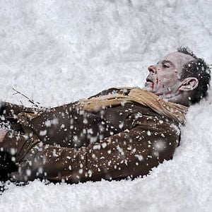 Fotoğraf The Timber