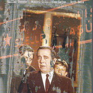 Fotoğraf A Tanú (The Witness)