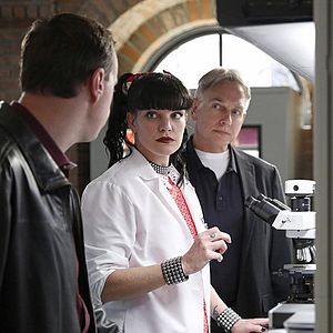 Fotoğraf Pauley Perrette