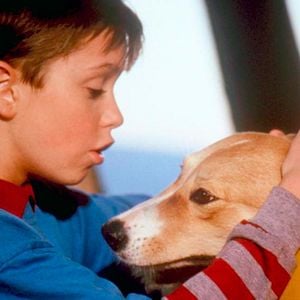 Fotoğraf Kahraman Köpek Bingo