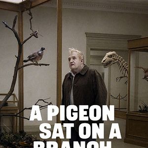 Fotoğraf İnsanları Seyreden Güvercin