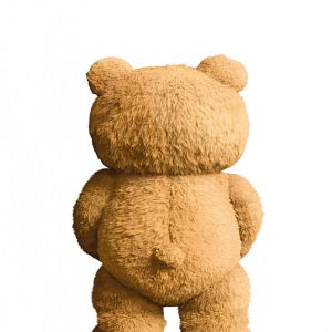 Fotoğraf Ayı Teddy 2