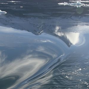 Fotoğraf The Pearl Button