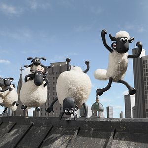 Fotoğraf Kuzular Firarda