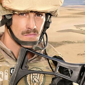 Fotoğraf Luis Fernández (II)