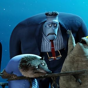 Fotoğraf Otel Transilvanya 2