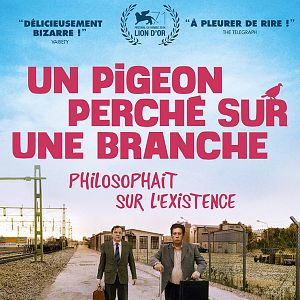 Fotoğraf İnsanları Seyreden Güvercin