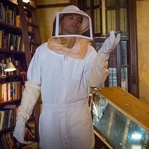 Fotoğraf Elementary