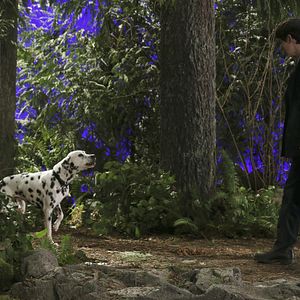 Fotoğraf Jared Gilmore