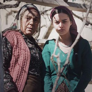 Fotoğraf Yılanların Öcü