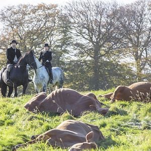 Fotoğraf Ronan Vibert