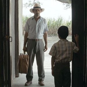 Fotoğraf Toprağın Gölgesinde