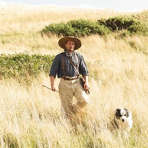 Fotoğraf Çılgın Kalabalıktan Uzak