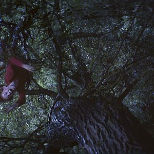 Fotoğraf Kyle Catlett