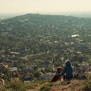 Fotoğraf Beyaz Tanrı