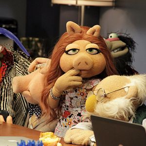 Fotoğraf The Muppets