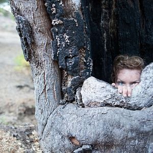 Fotoğraf Preservation