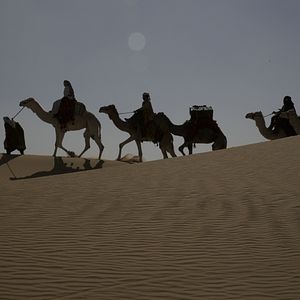 Fotoğraf Çöl Kraliçesi