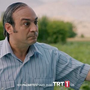 Fotoğraf Yeşil Deniz