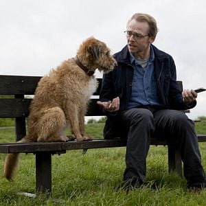 Fotoğraf Absolutely Anything