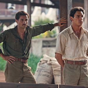 Fotoğraf Palmeras en la nieve