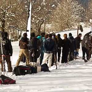 Fotoğraf Palmeras en la nieve