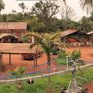 Fotoğraf Palmeras en la nieve