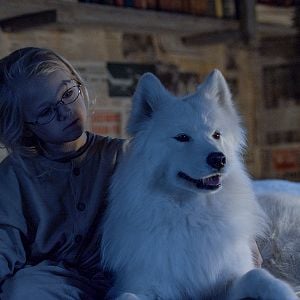 Fotoğraf Kutupta Macera