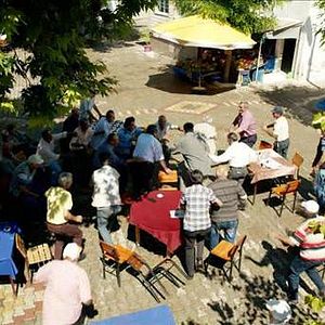 Fotoğraf Günebakan