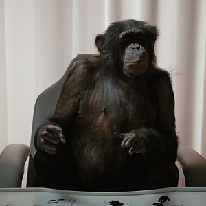 Fotoğraf Cosmodrama