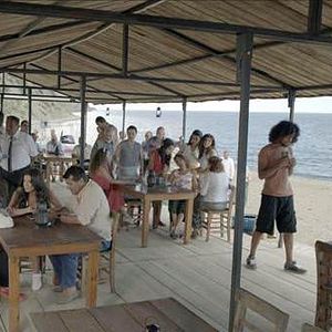 Fotoğraf Günebakan