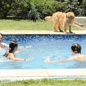 Fotoğraf Annemle Geçen Yaz