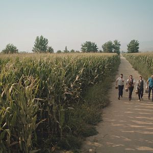Fotoğraf Yeşil Deniz