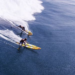 Fotoğraf Özgürlük Arayışı