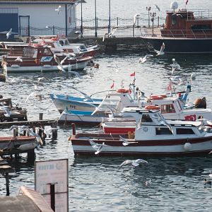 Fotoğraf Evlenmeden Olmaz