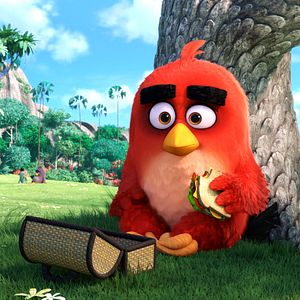 Fotoğraf The Angry Birds Movie