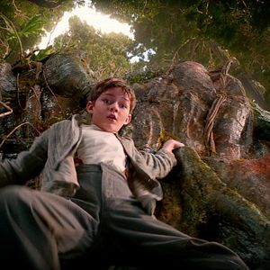 Fotoğraf Levi Miller (II)